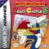 Play <b>Woody Woodpecker in Crazy Castle 5</b> Online